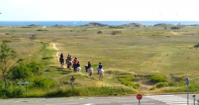 Vue de la maison Belle-Ile : les dunes et l'Océan